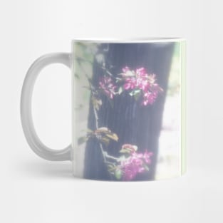 red Malus Radiant crab apple blossoms #6 Mug